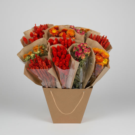 Getrocknete Blumen - Dried Mono Mix - Orange - ↕50cm
