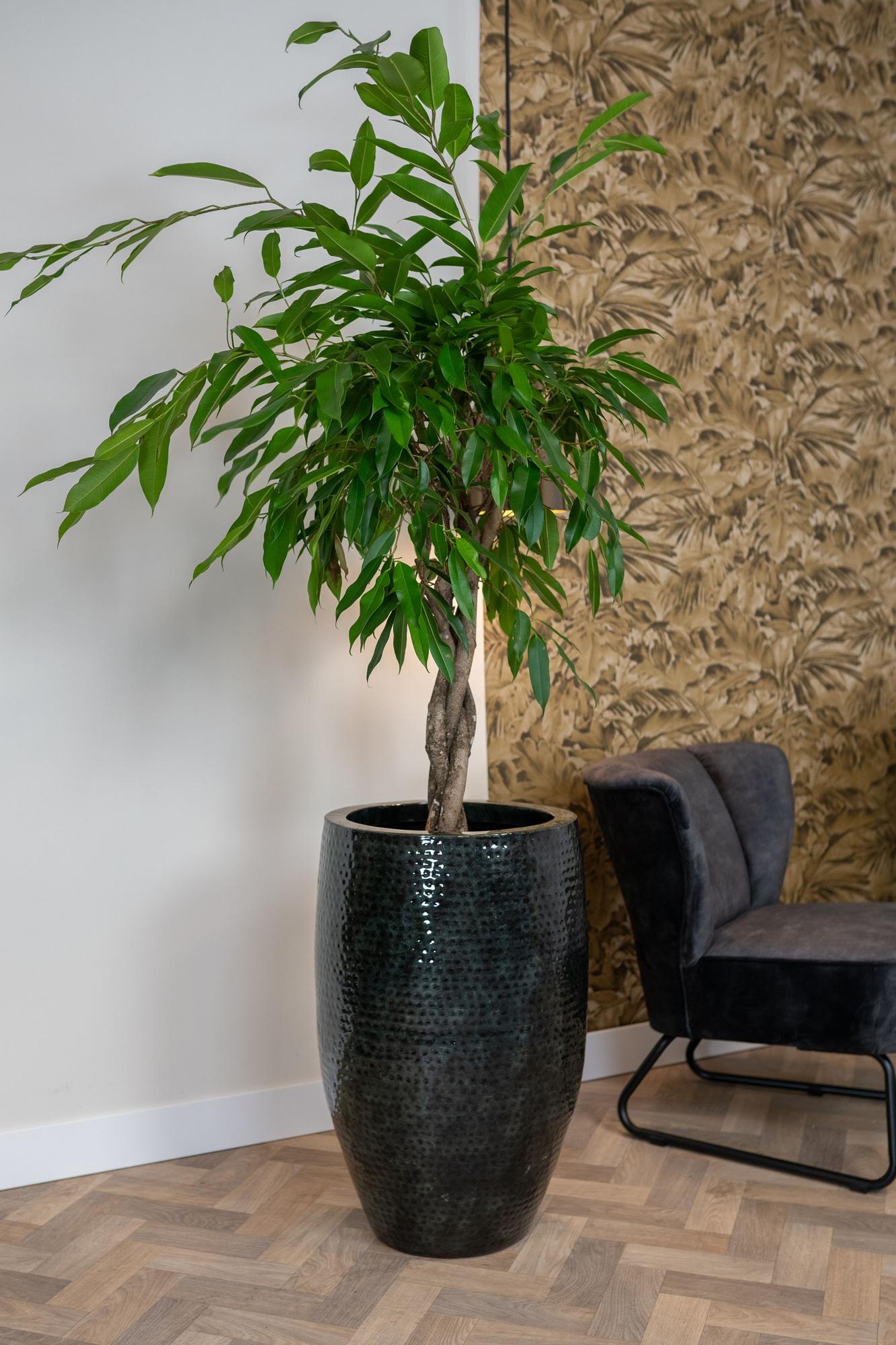 Set von 3 Töpfen - Thom Schwarz Metall - Large