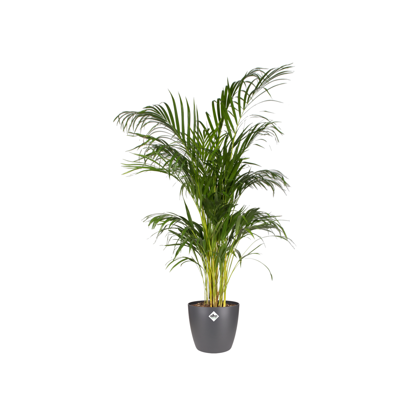 Pot elho Brussels Round Antraciet D20 x H19