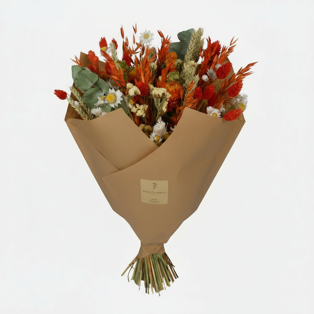 Getrocknete Blumen - Classic Bouquet - Orange - 4 Blumensträuße - ↕60cm