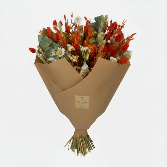 Getrocknete Blumen - Classic Bouquet - Orange - 4 Blumensträuße - ↕60cm