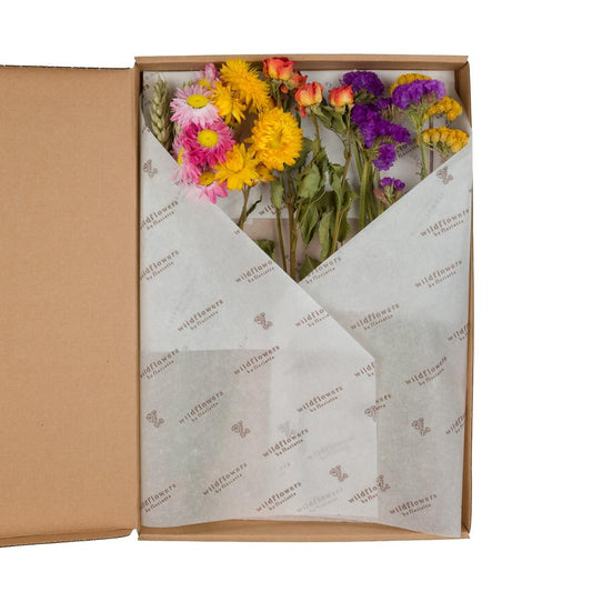 Getrocknete Blumen - Flowers in Leterbox - Multi - 5 Stücke - ↕30cm