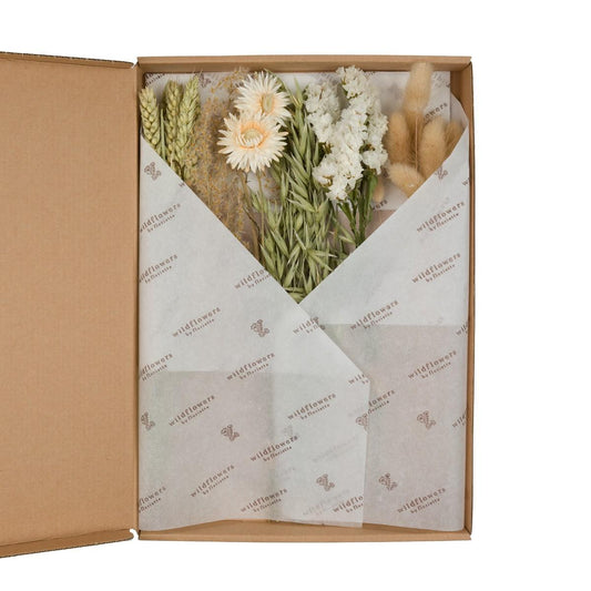 Getrocknete Blumen - Flowers in Letterbox - Natural - 5 Stücke - ↕30cm