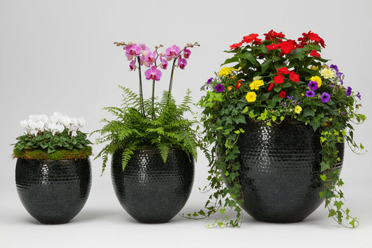 Set von 3 Töpfen - Thom Schwarz Metall - Width