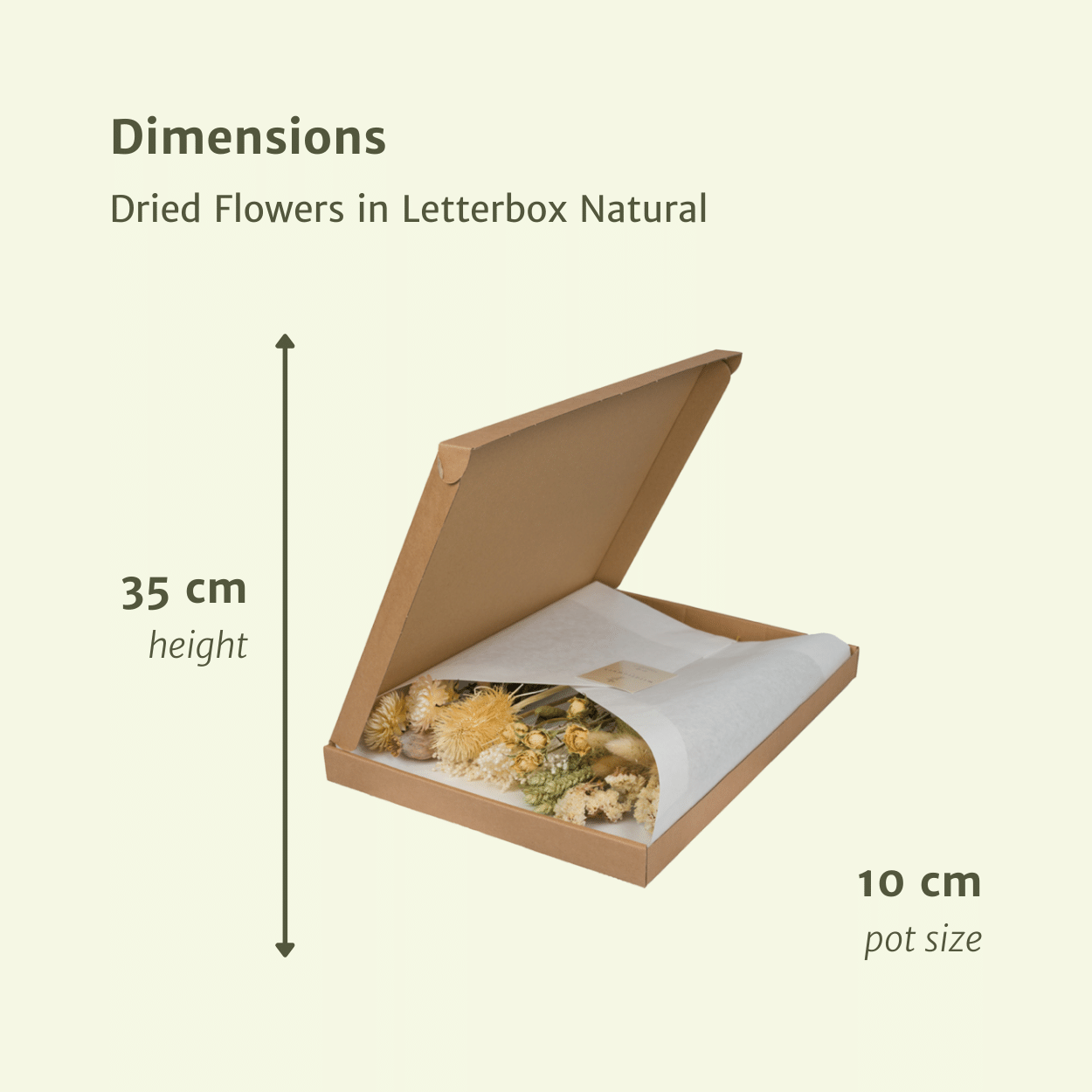 Trockenblumen im Briefkasten  - Natural